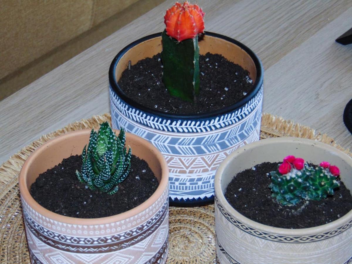 Ferienwohnung The Orange Cactus Sparta Exterior foto
